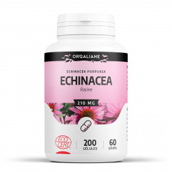 Echinacéa - 200 gélules à 210 mg