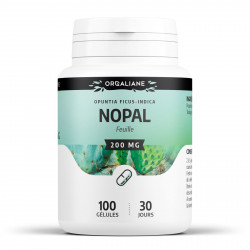 Nopal 250 mg - 200 gélules