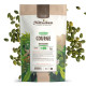 Graines de Courge Bio - 1kg