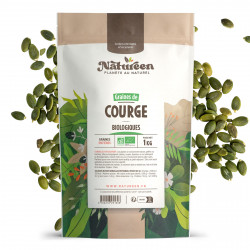Graines de Courge Bio - 500g
