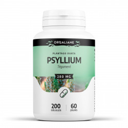 Psyllium - 280 mg - gélules