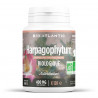 Harpagophytum Bio - 120 comprimés à 400 mg