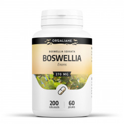 Boswellia 270 mg - 200 Gélules