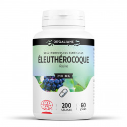 Eleuthérocoque - 200 gélules à 250 mg