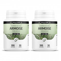 Armoise - 100 gélules à 250 mg
