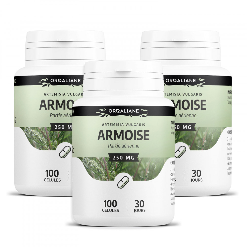 Armoise - 100 gélules à 250 mg