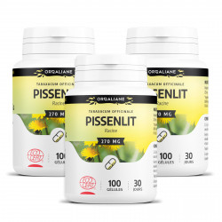 Pissenlit Racine - 100 gélules 270 mg
