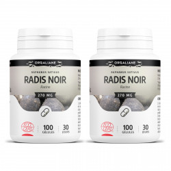 Radis Noir - 100 gélules à 270 mg