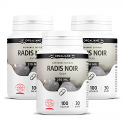 Radis Noir - 100 gélules à 270 mg