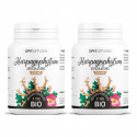 Harpagophytum racine biologique 330 mg - 100 gélules végétales