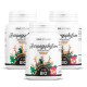 Harpagophytum racine biologique 330 mg - 100 gélules végétales