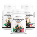 Harpagophytum racine biologique 330 mg - 100 gélules végétales