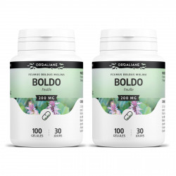 Boldo - 100 gélules