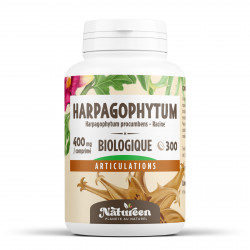 Harpagophytum - 300 comprimés à 400 mg