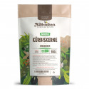 Graines de Courge Bio - 500g