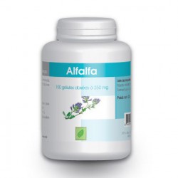 Alfalfa - 100 gélules à 250 mg