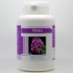 Alfalfa (Luzerne) - 200 gelules a 230 mg