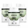 Armoise - 100 gélules à 250 mg
