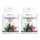 Harpagophytum racine biologique 330 mg - 100 gélules végétales