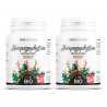 Harpagophytum racine biologique 330 mg - 100 gélules végétales