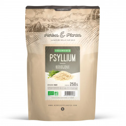 Psyllium Blond Bio - 500gr